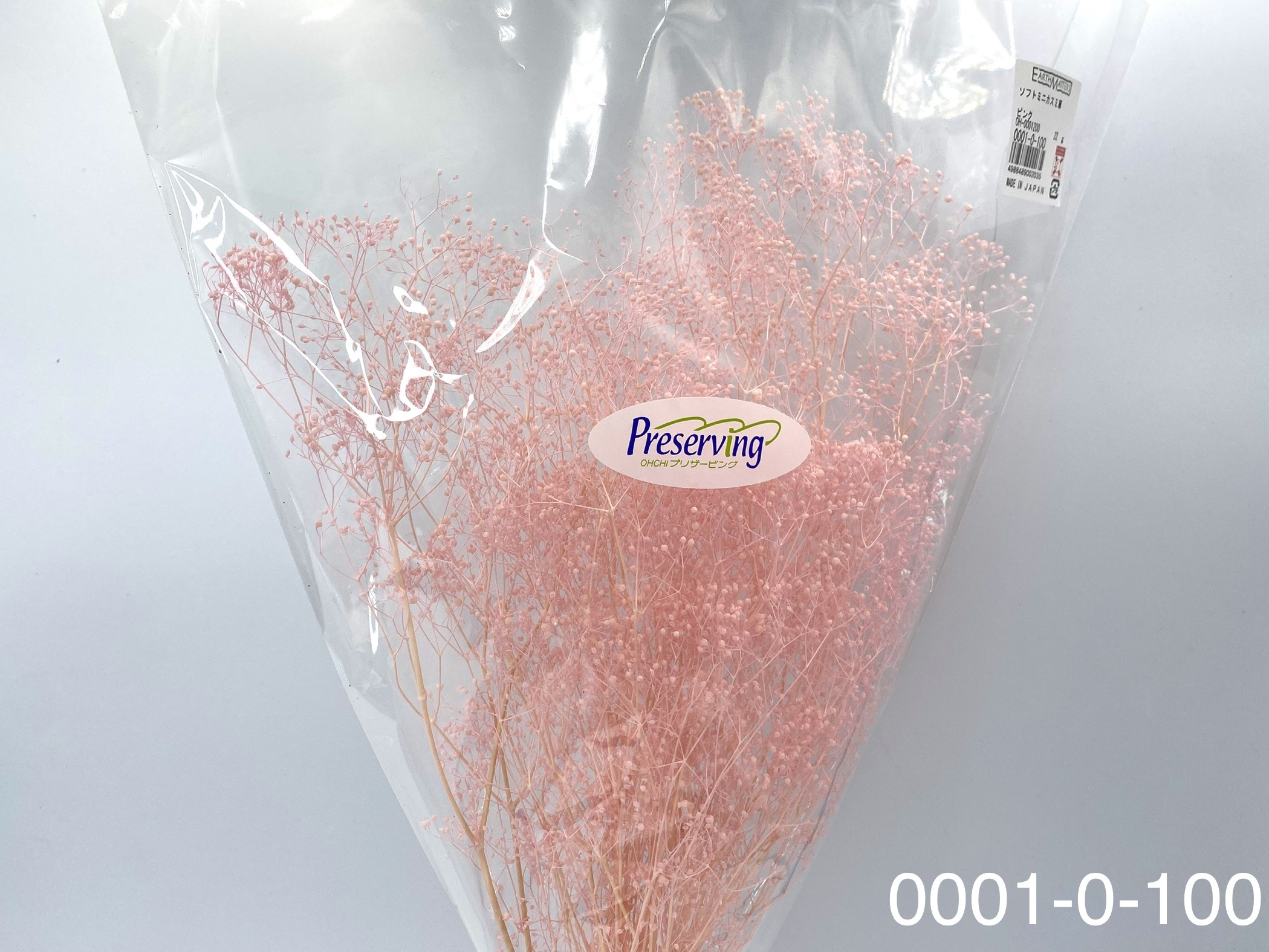 日本不凋迷你滿天星 00010-100