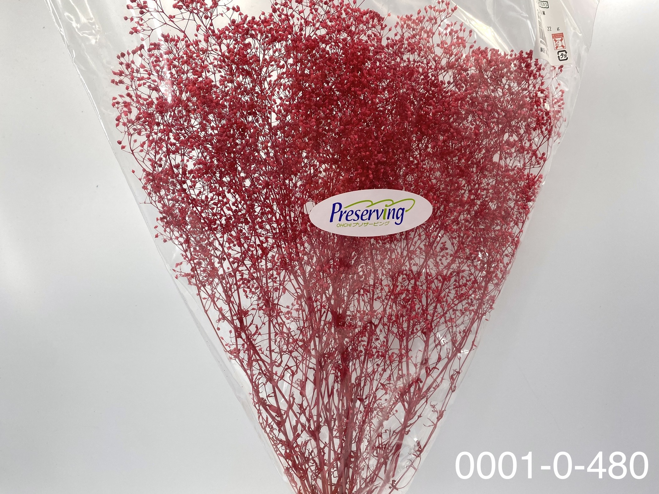 日本不凋迷你滿天星 00010-480