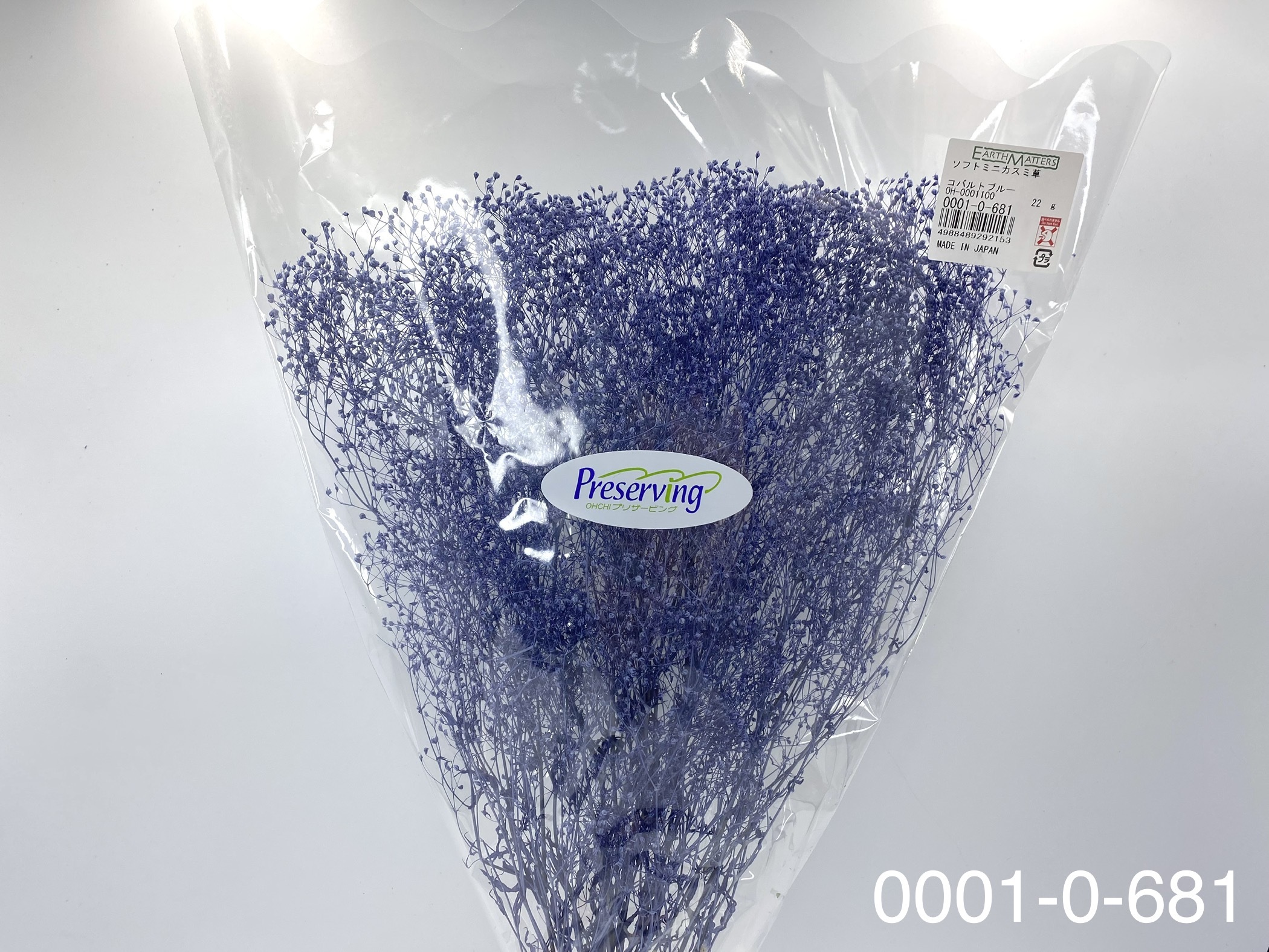 日本不凋迷你滿天星 00010-681