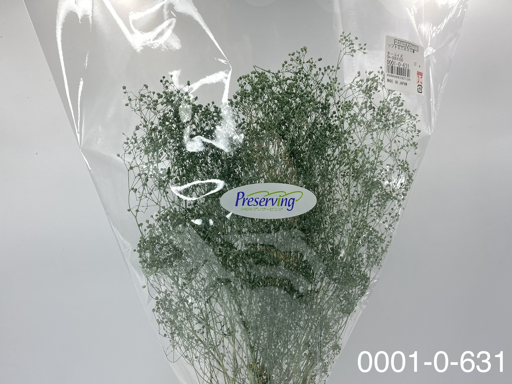 日本不凋迷你滿天星 00010-631