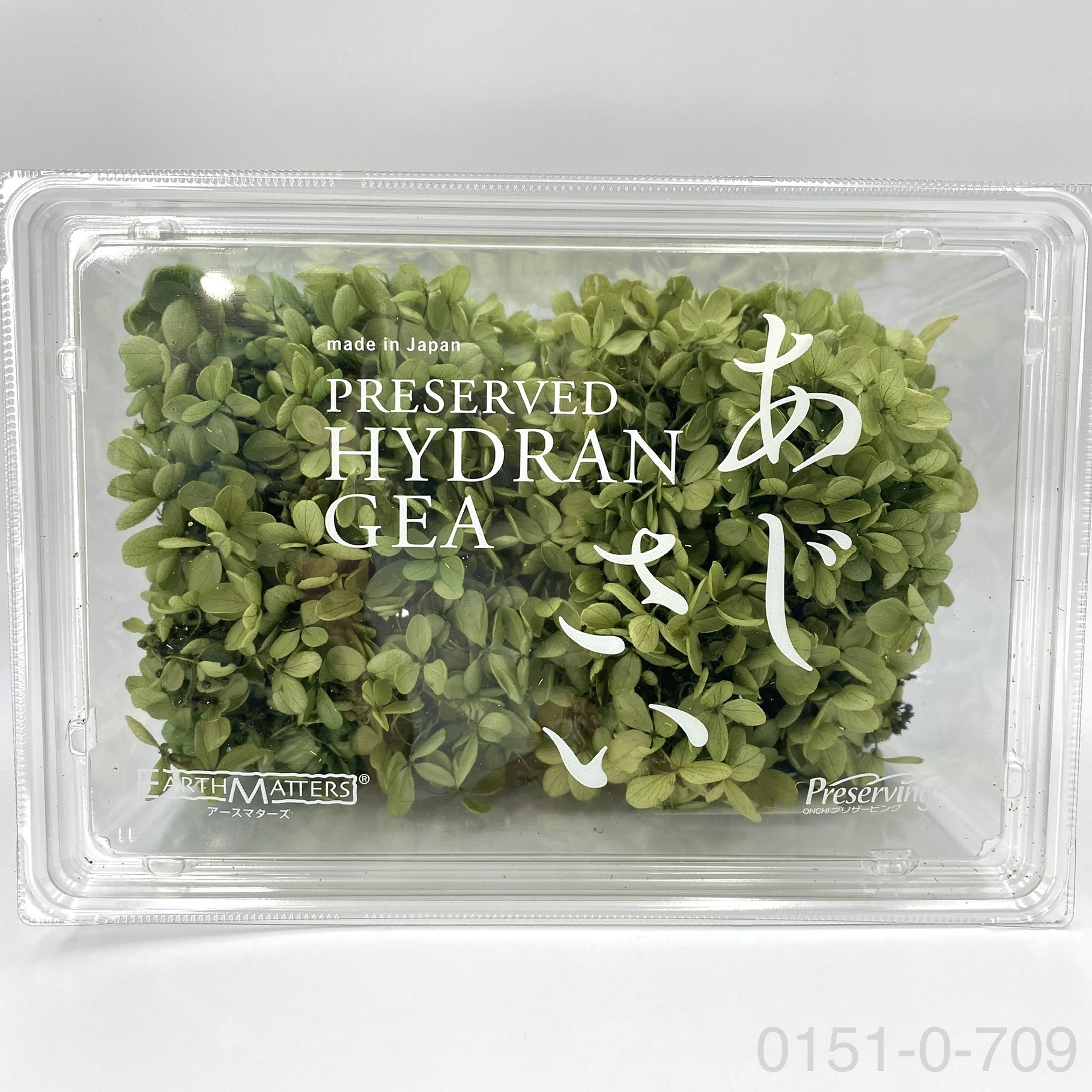 日本不凋中葉繡球 01510-709