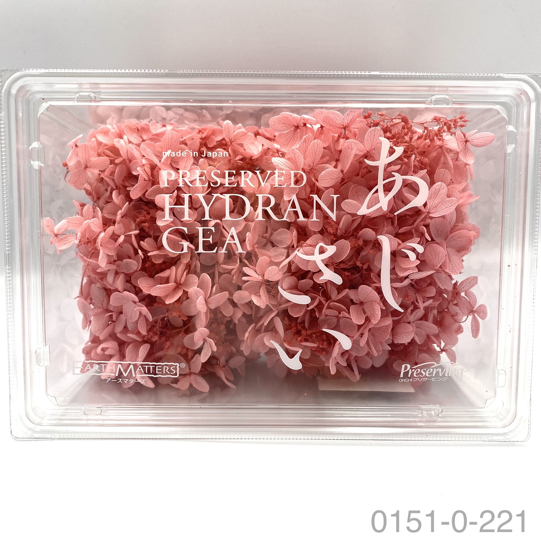 日本不凋中葉繡球 01510-221