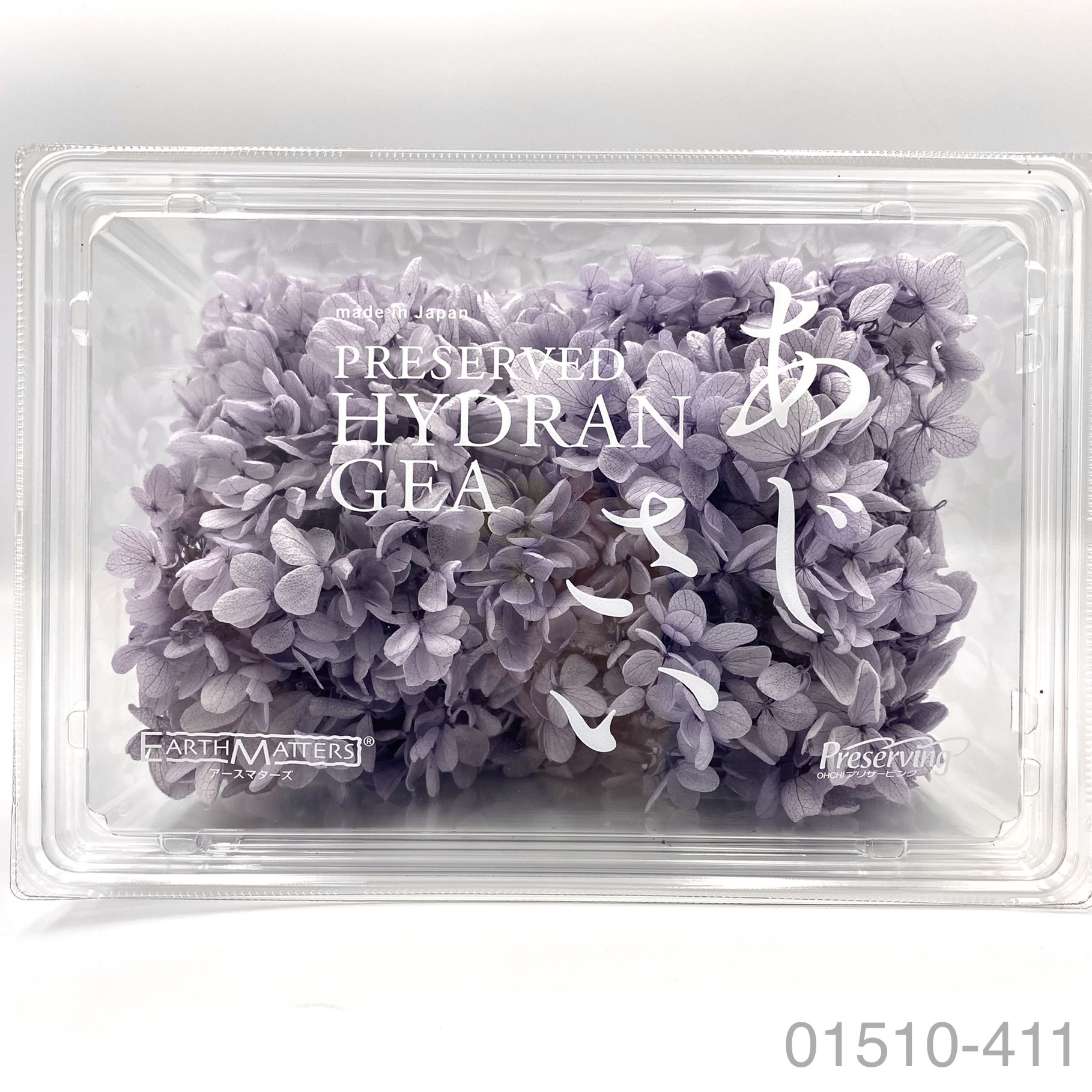 日本不凋中葉繡球 01510-411