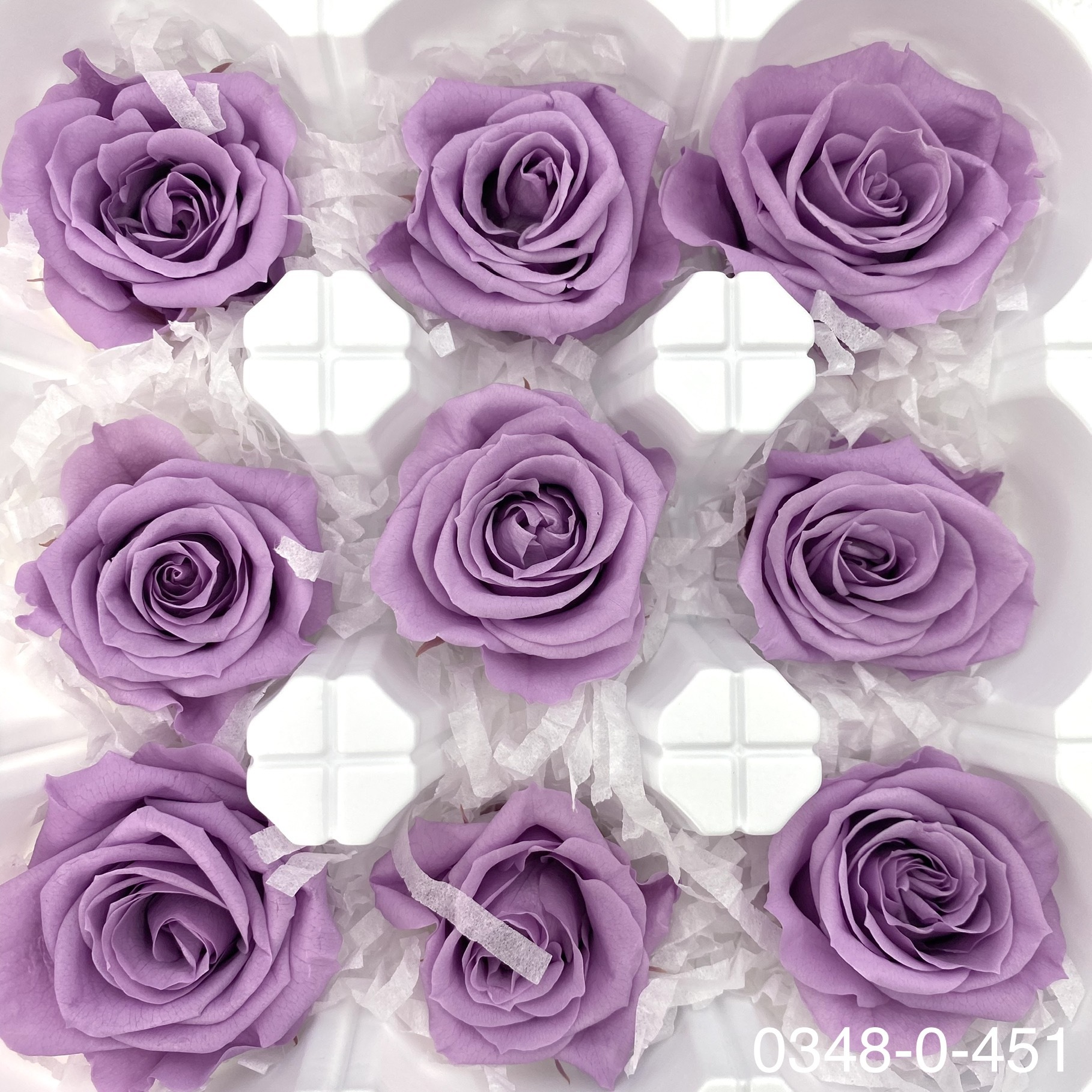 日本不凋中輪玫瑰(9朵) 03480-451