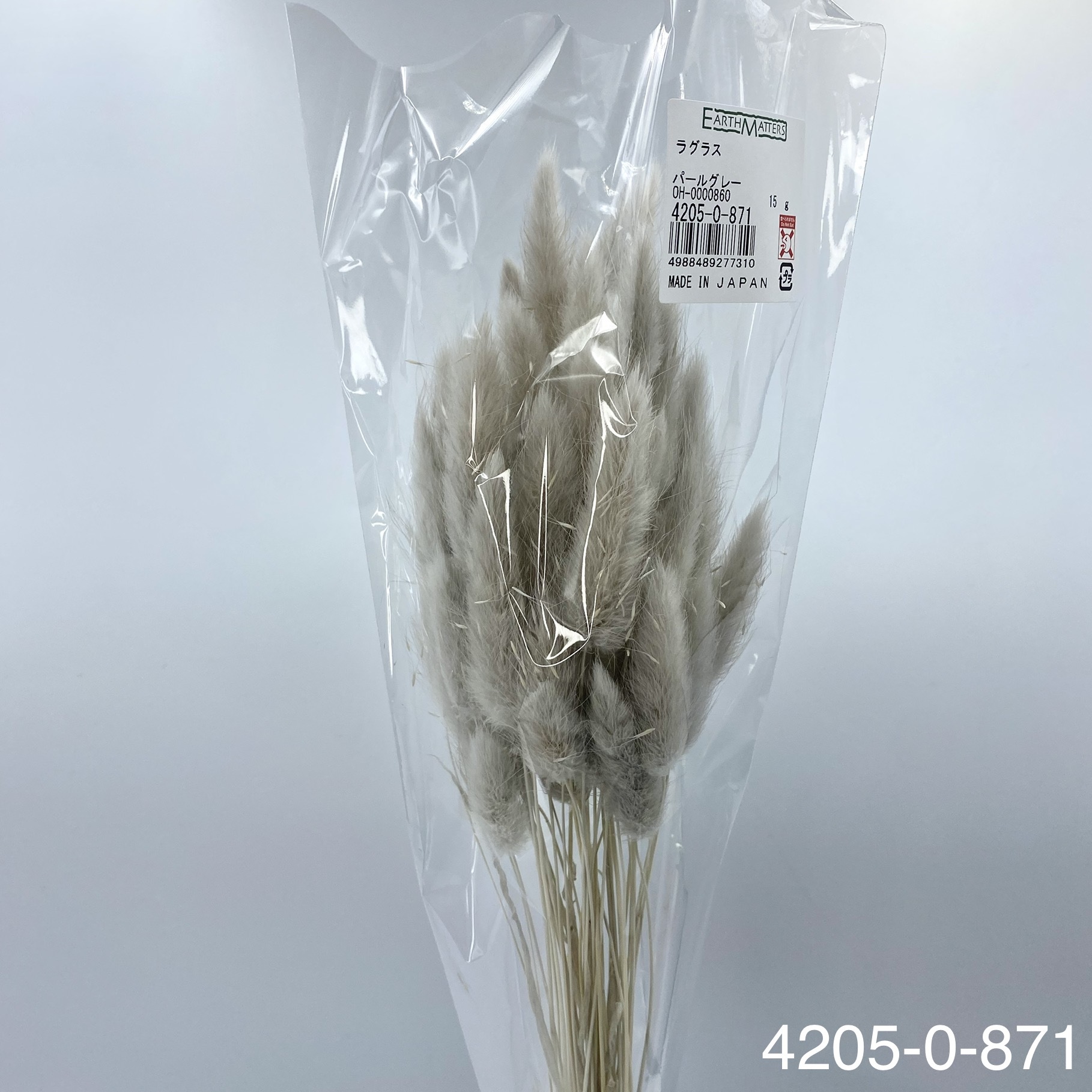 日本兔尾草 42050-871