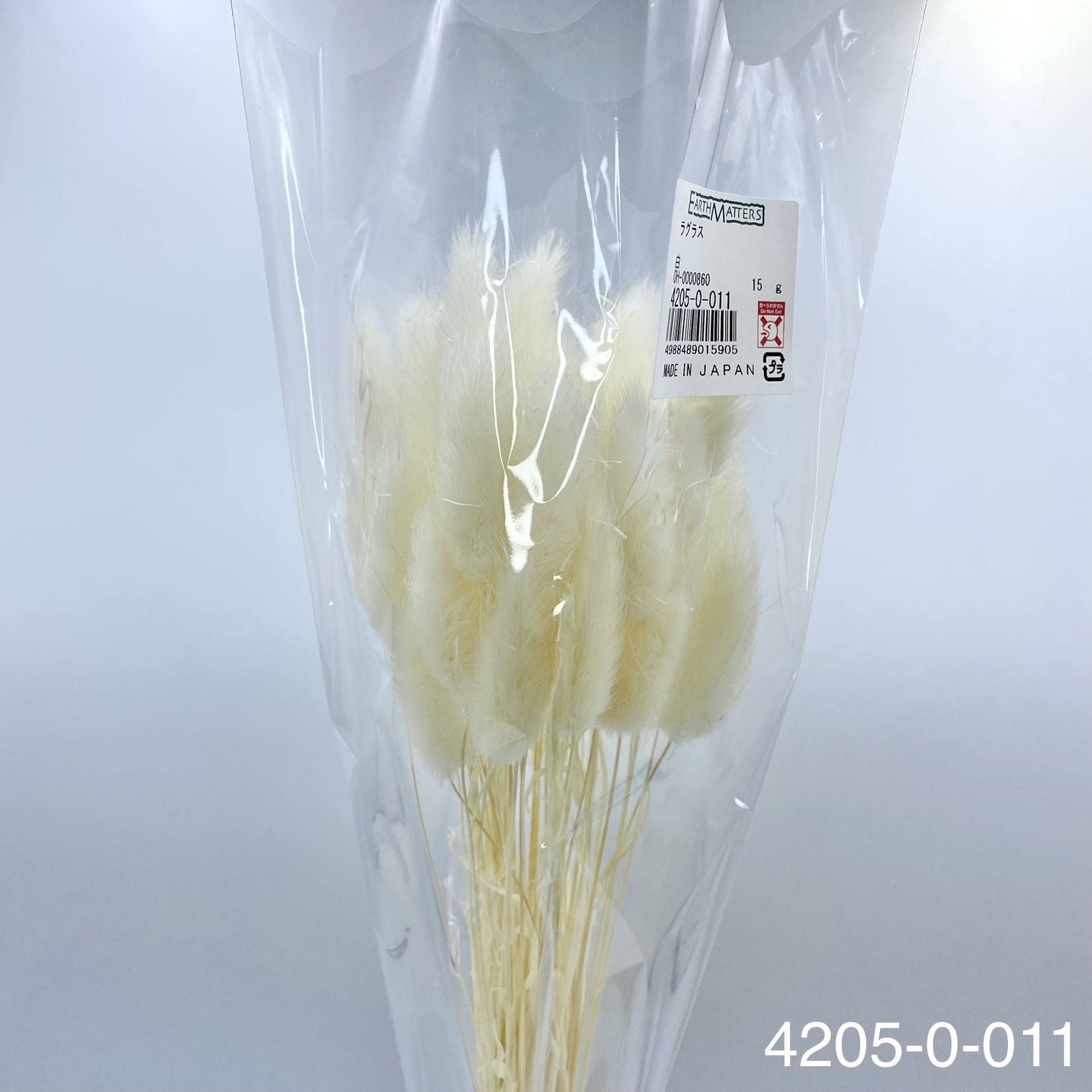 日本兔尾草 42050-011