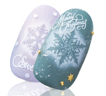 Sha-Nail Pro - ABSPS-001