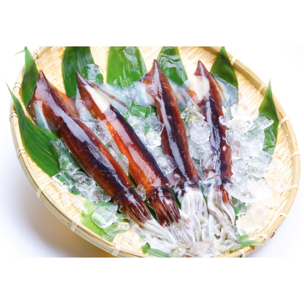 特大日本鮮魷魚-- 每隻