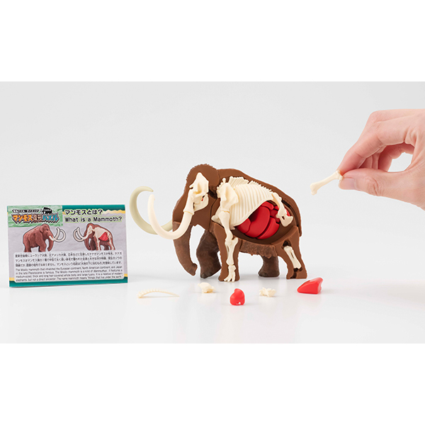 [解體拼圖][遠古系列]長毛象