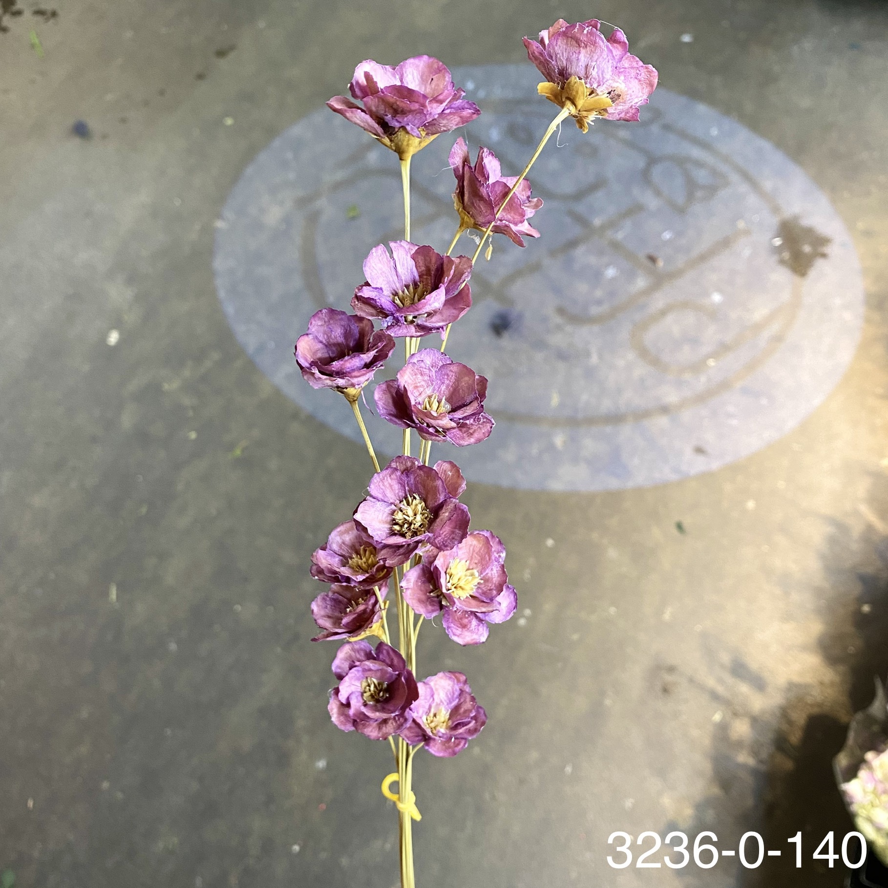 日本手工銀蓮花 32360-140