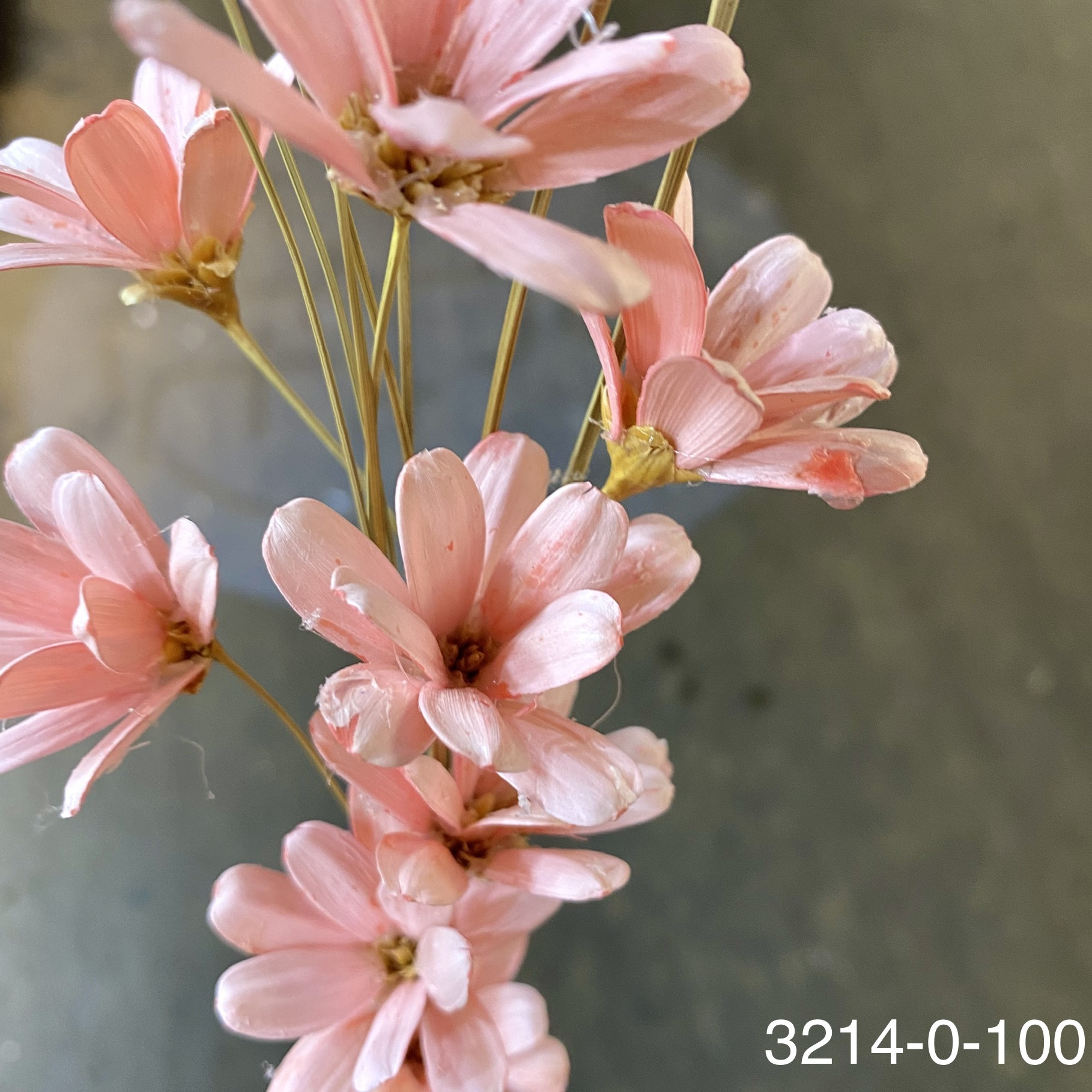 日本手工瓜子花 32140-100