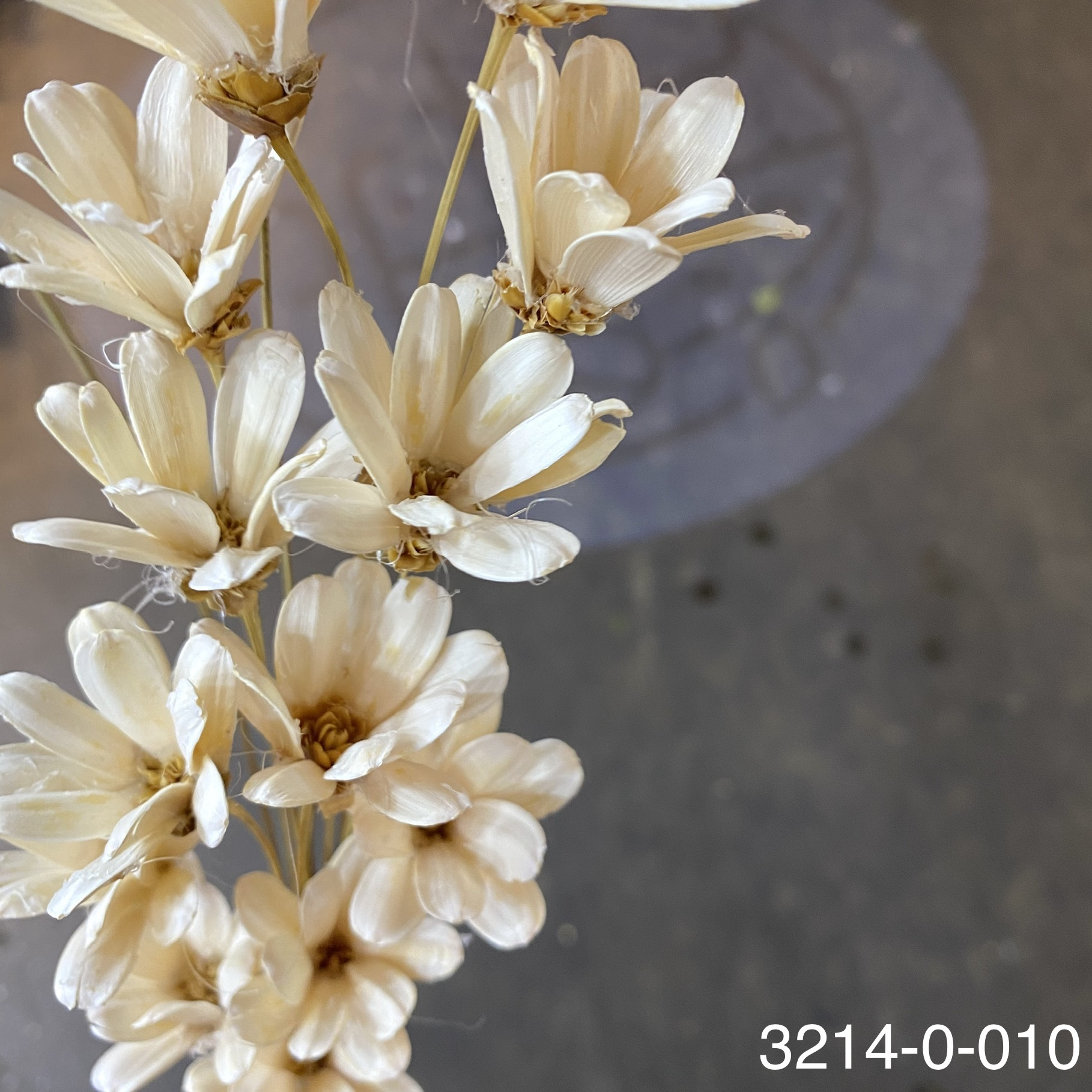 日本手工瓜子花 32140-010