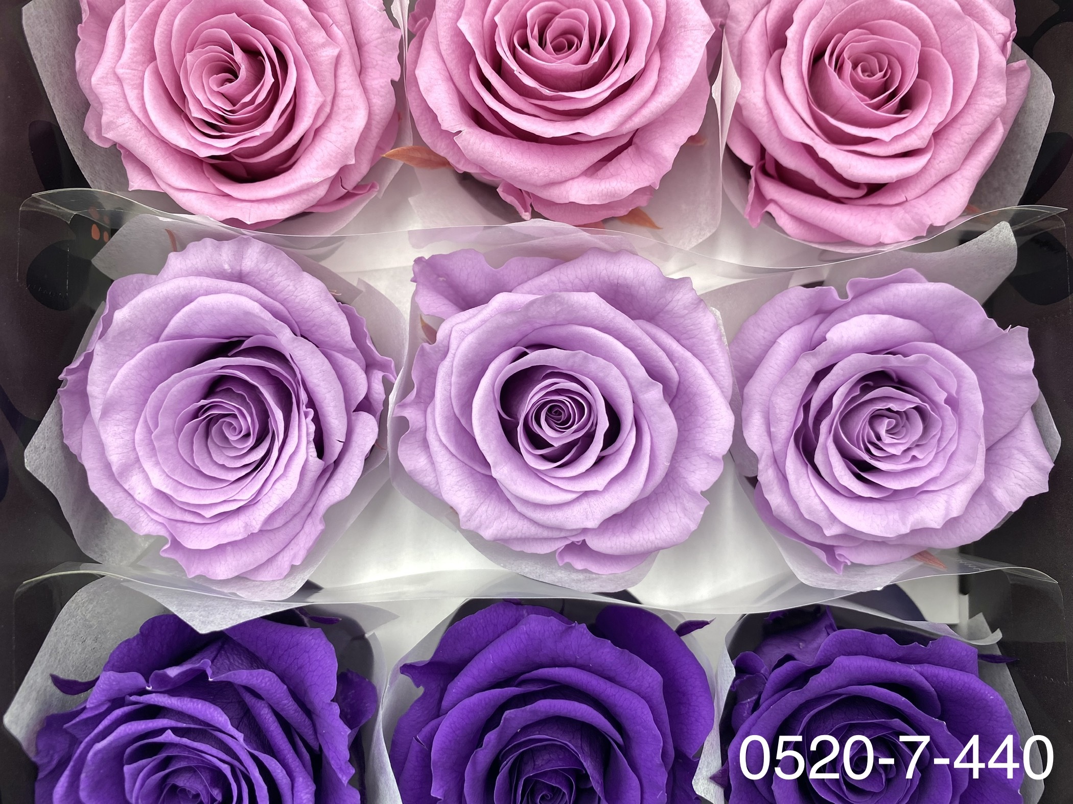 日本不凋大輪玫瑰(M-9朵) 05207-442