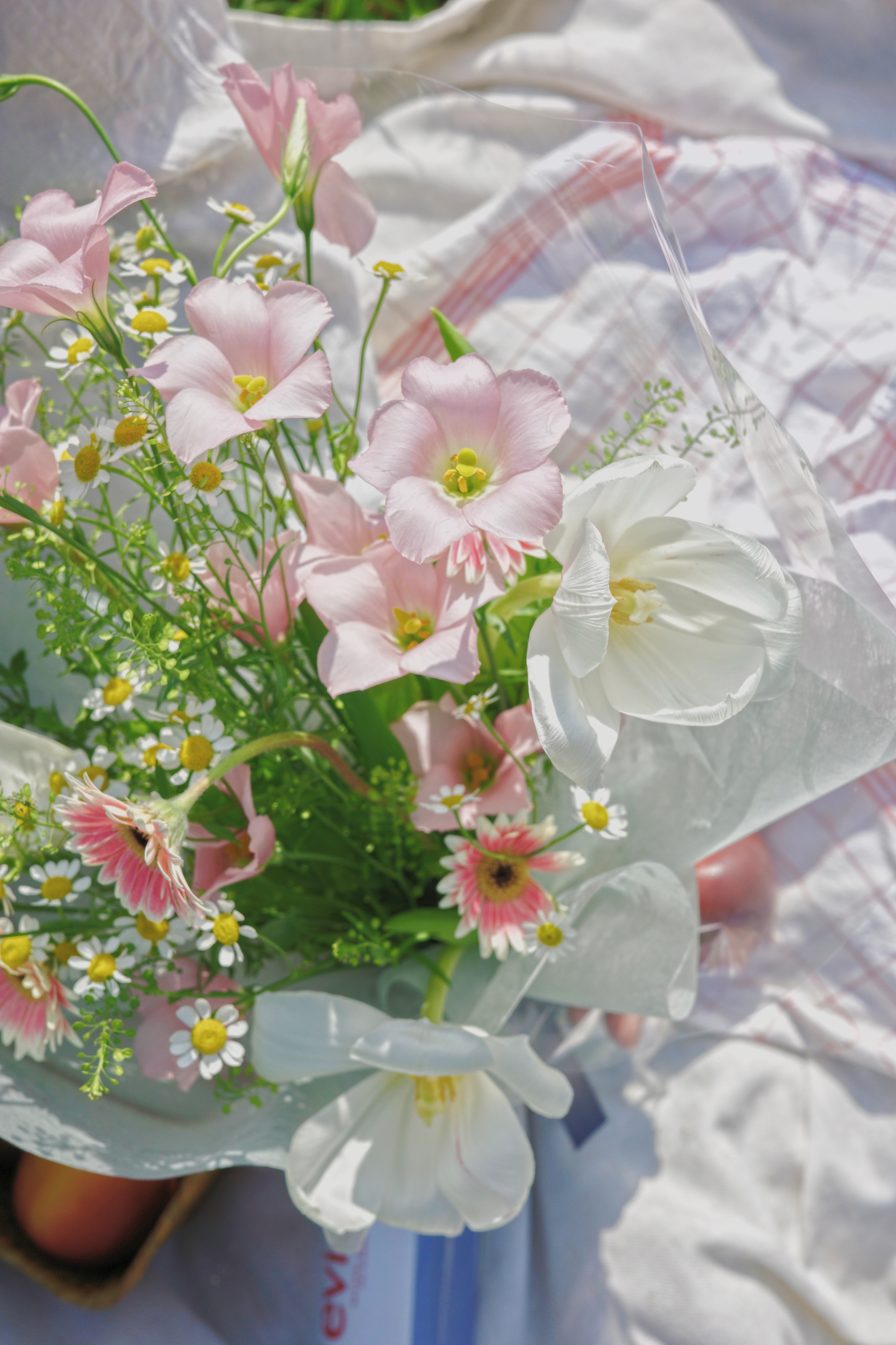 把春天拿在手裡