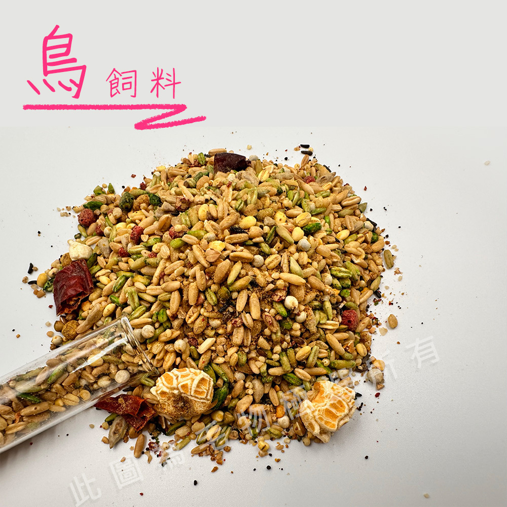 美光 T066鸚鵡物語 中大型鸚鵡蔬果鴨蛋黃營養美食 1入