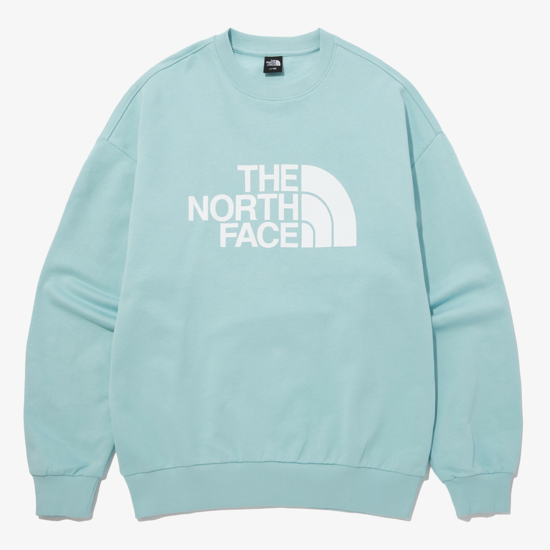 THE NORTH FACE 棉質 大LOGO RELAXED 大學T 衛衣 水藍 NM5MP41C