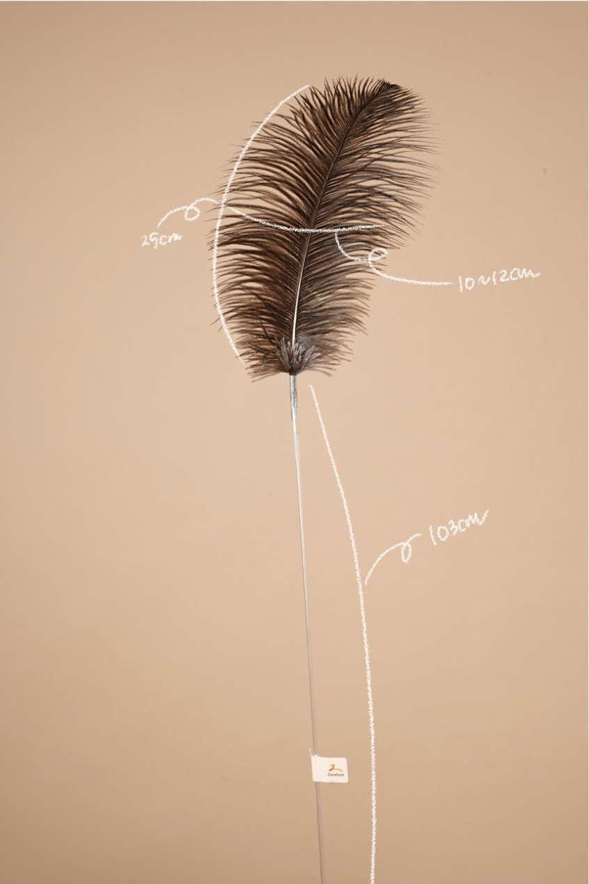 Zooah Ostrich Stick
