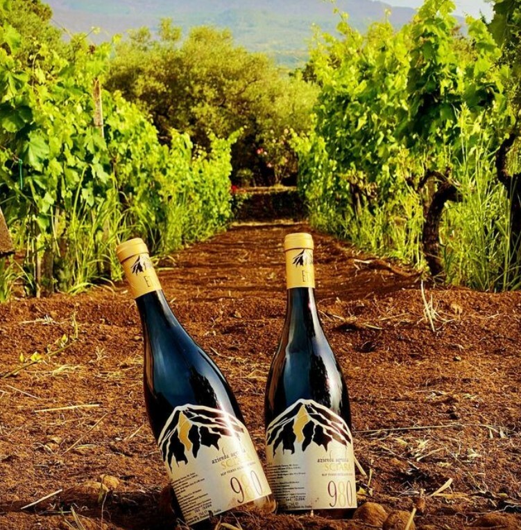 Azienda Agricola Sciara 意大利熔岩酒莊海拔980紅酒 2019 750ml [83_C-5639_2019]