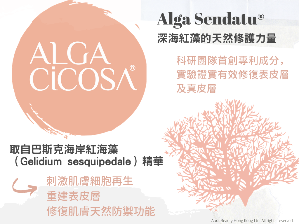 LABORATOIRES de BIARRITZ 速效抗敏修復潤唇膏