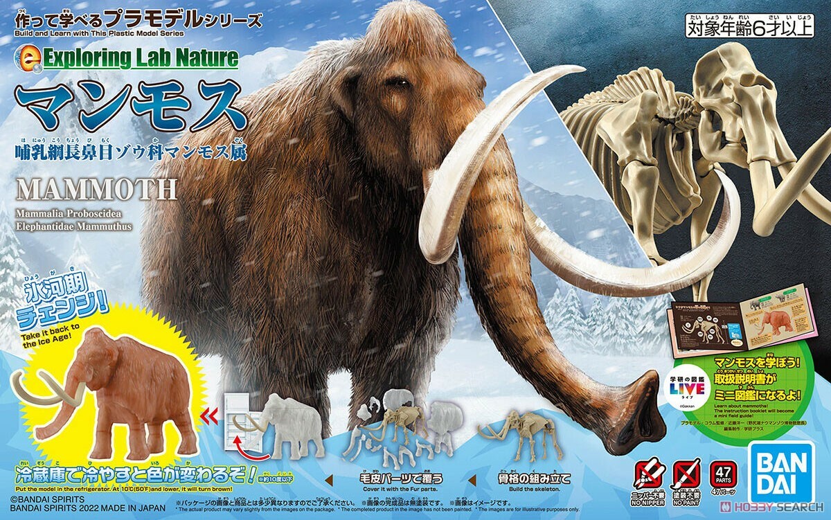 BANDAI 代理版 組裝模型 探索實驗室自然 長毛象