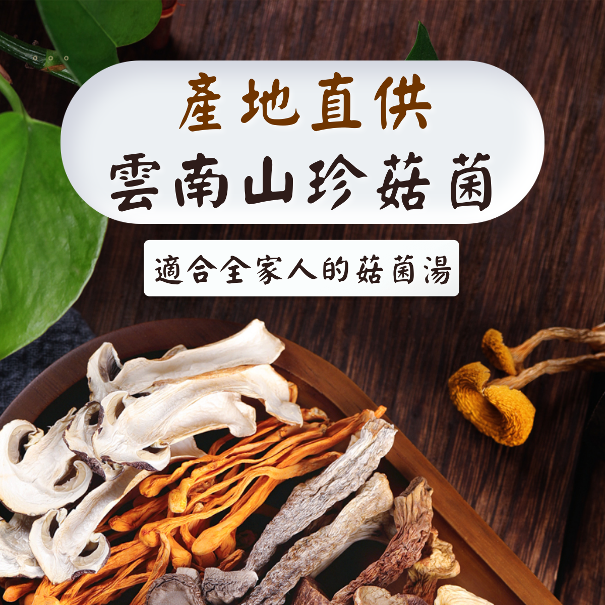 金菇朵朵- 松茸菌湯包, 130 克