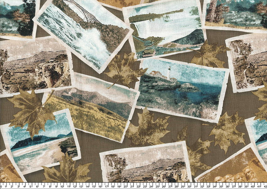 進口棉布00114(一尺)