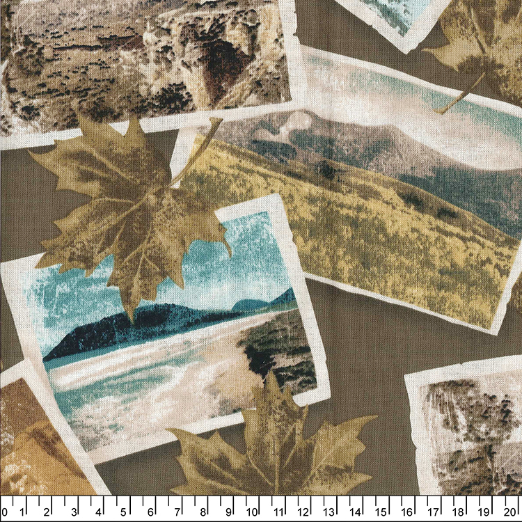 進口棉布00114(一尺)