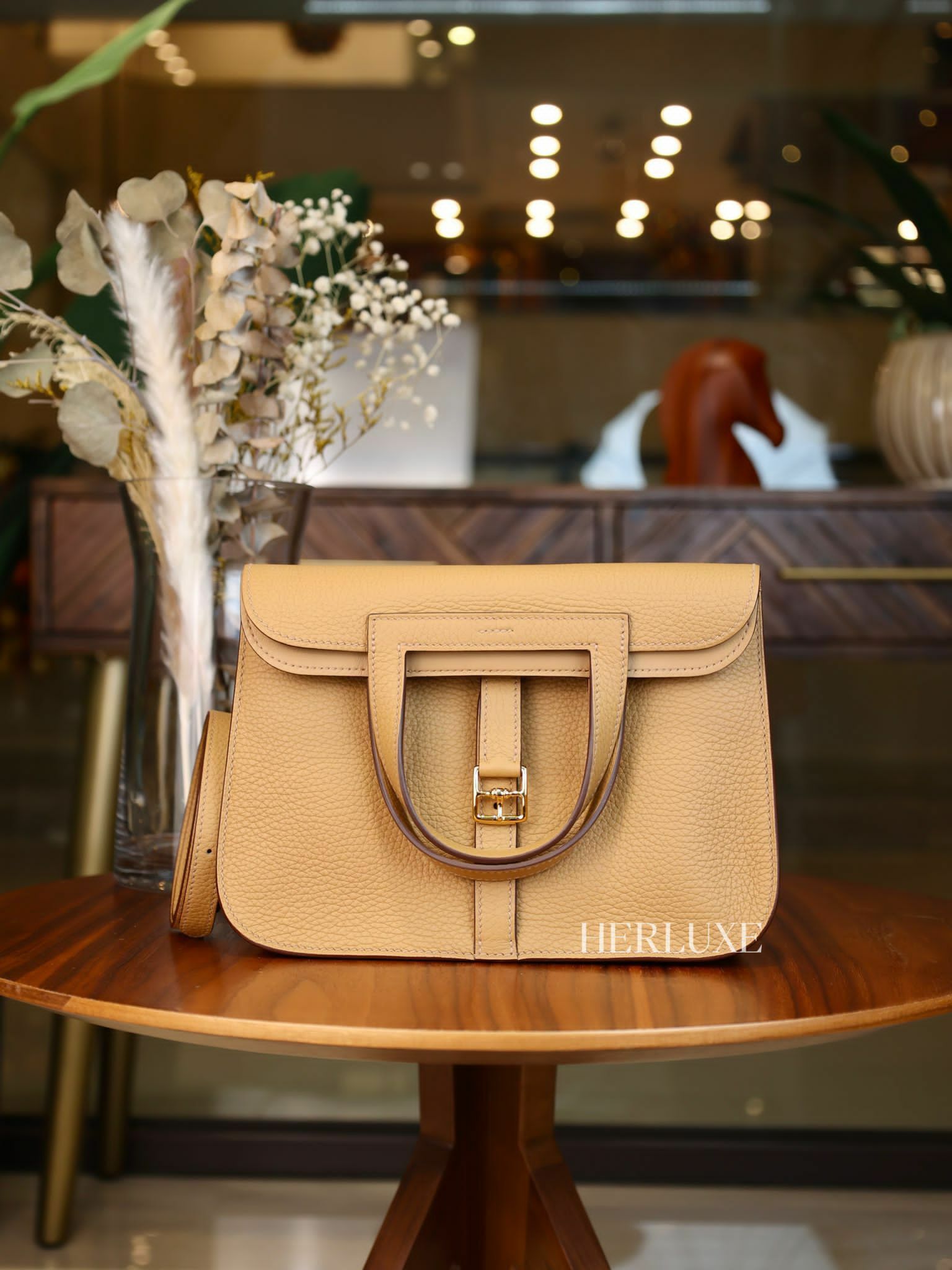 Halzan 25 4B biscuit cc tc W