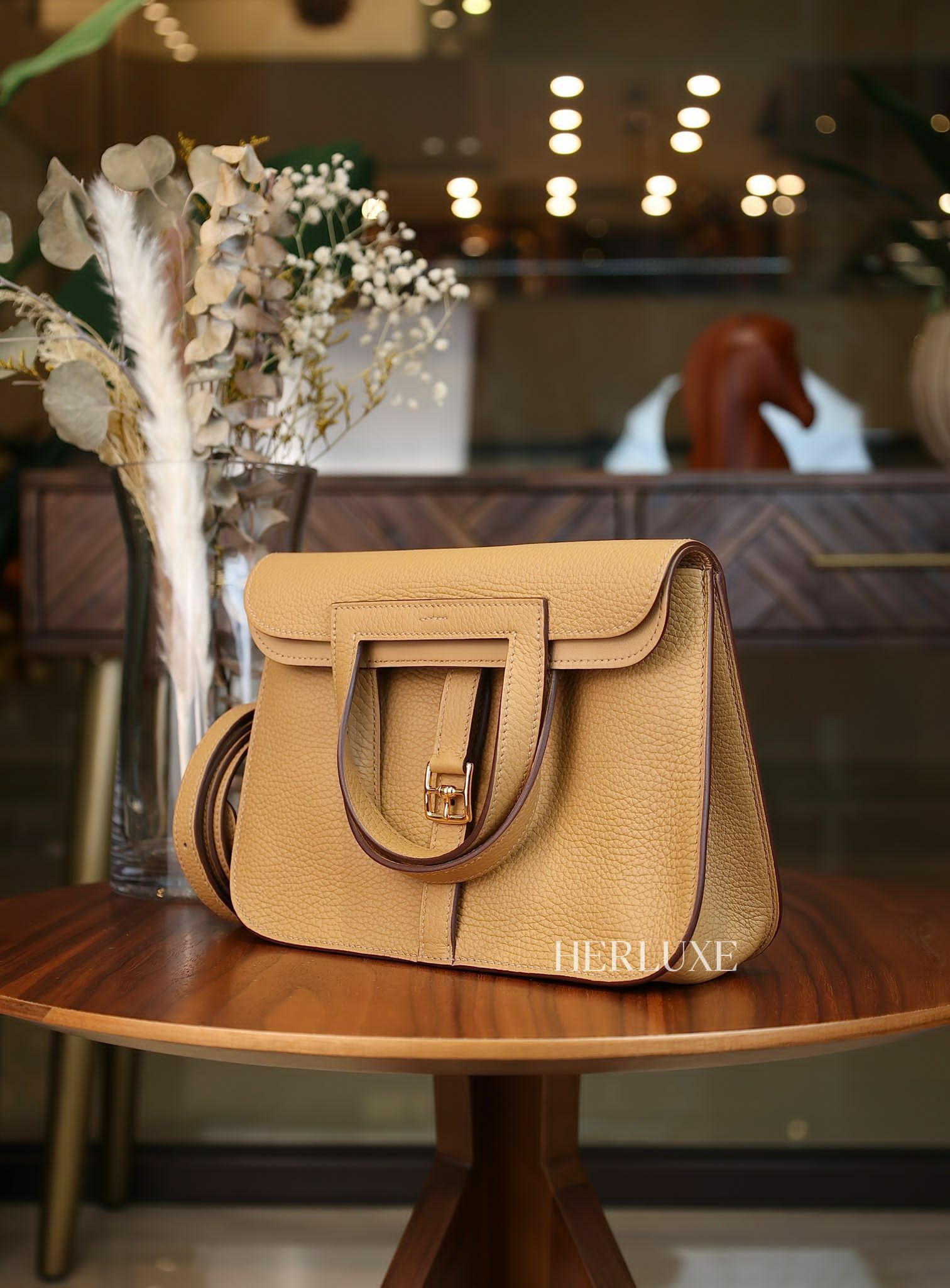 Halzan 25 4B biscuit cc tc W