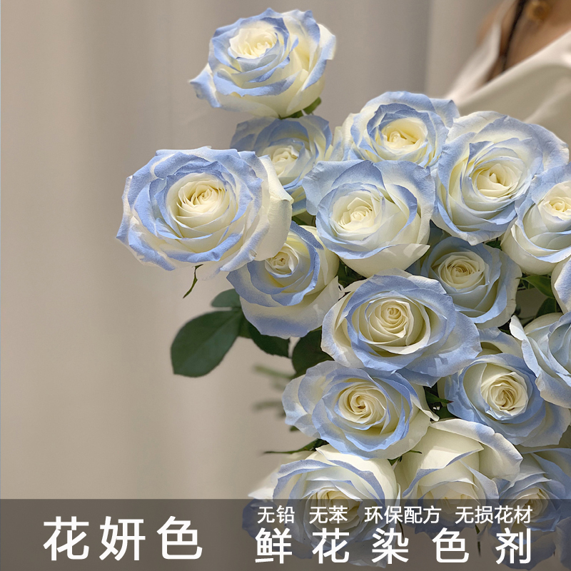 花藝噴漆-一般色系