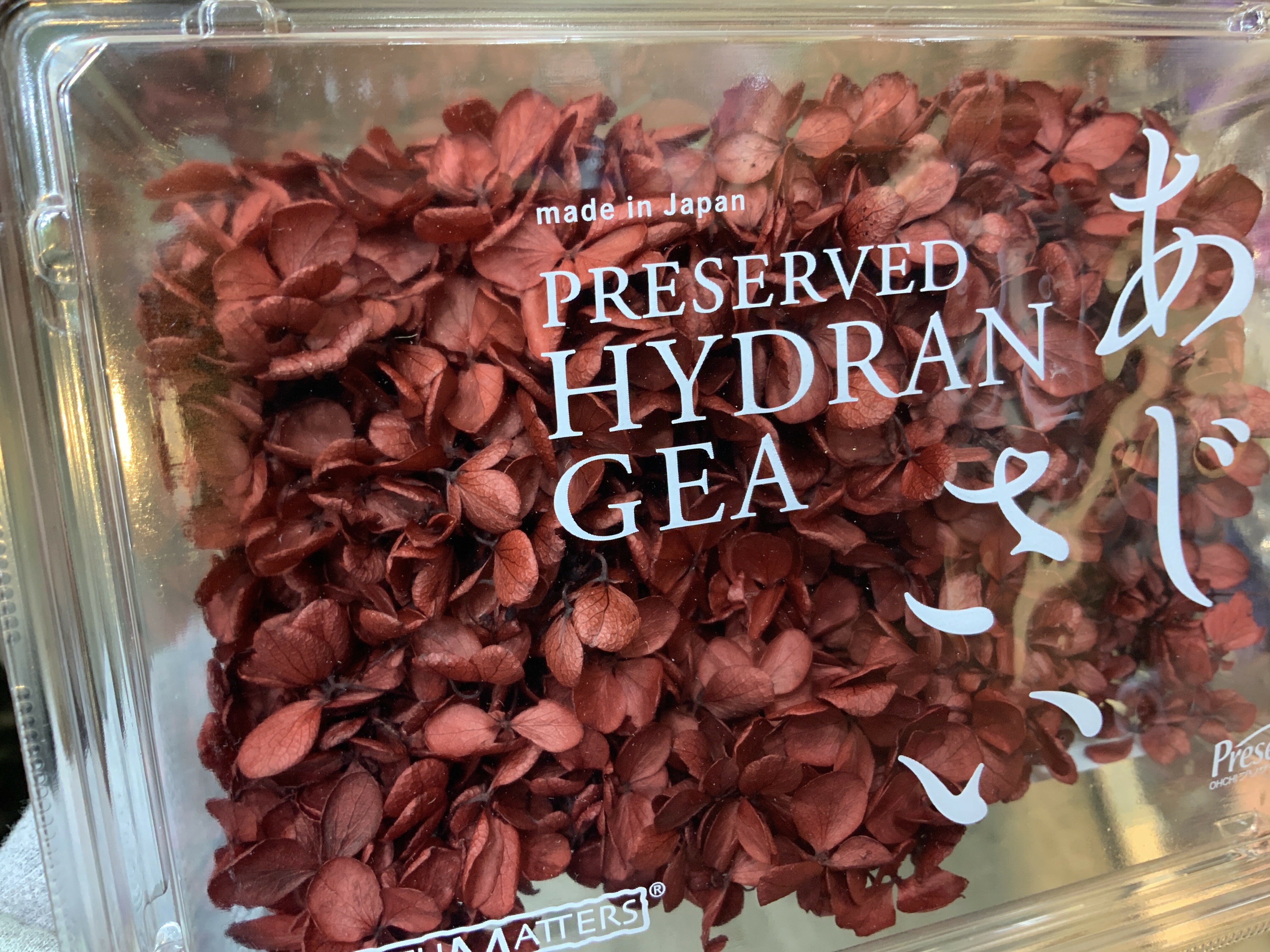 日本不凋中葉繡球 01510-340