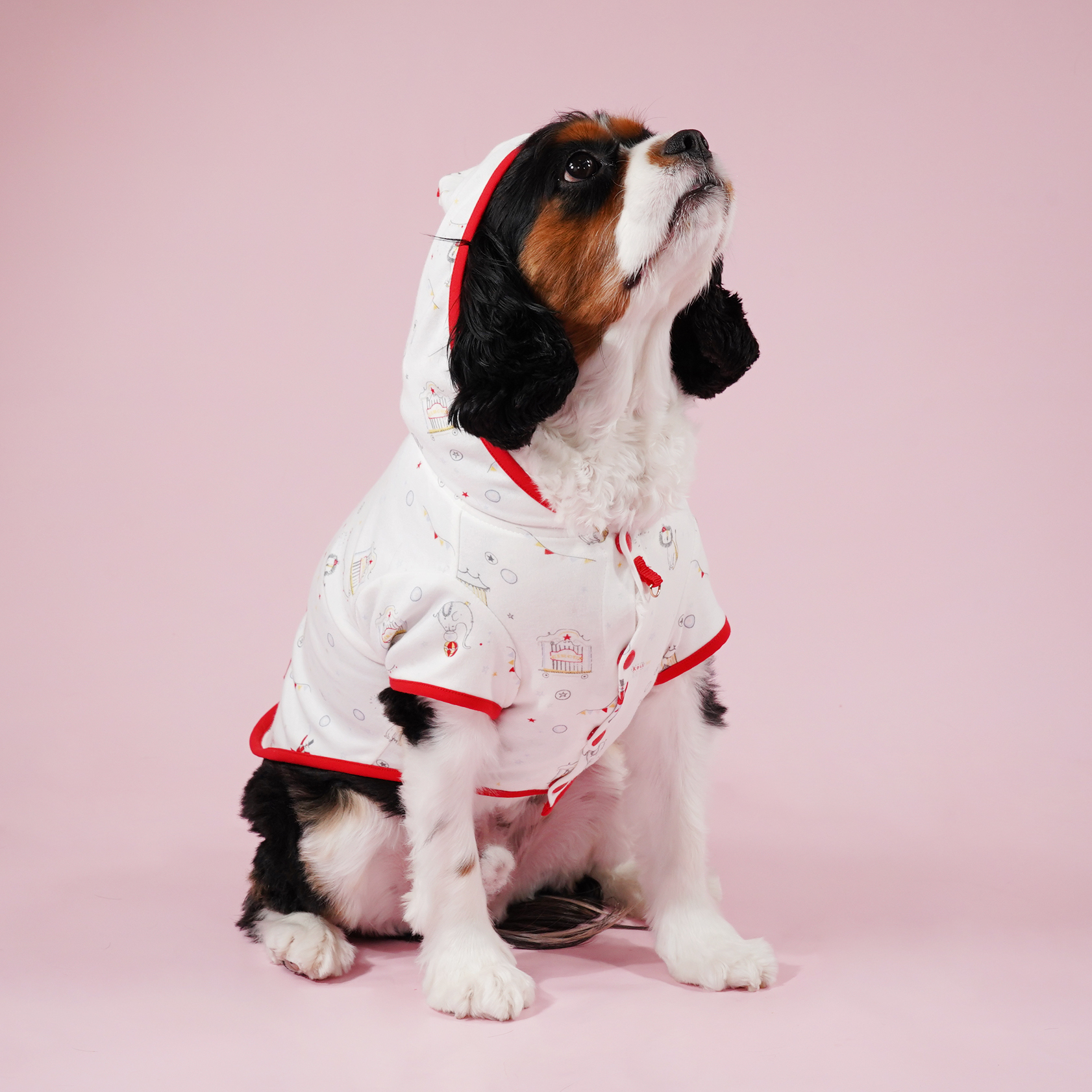 Little Lion Hood Tee (Red)