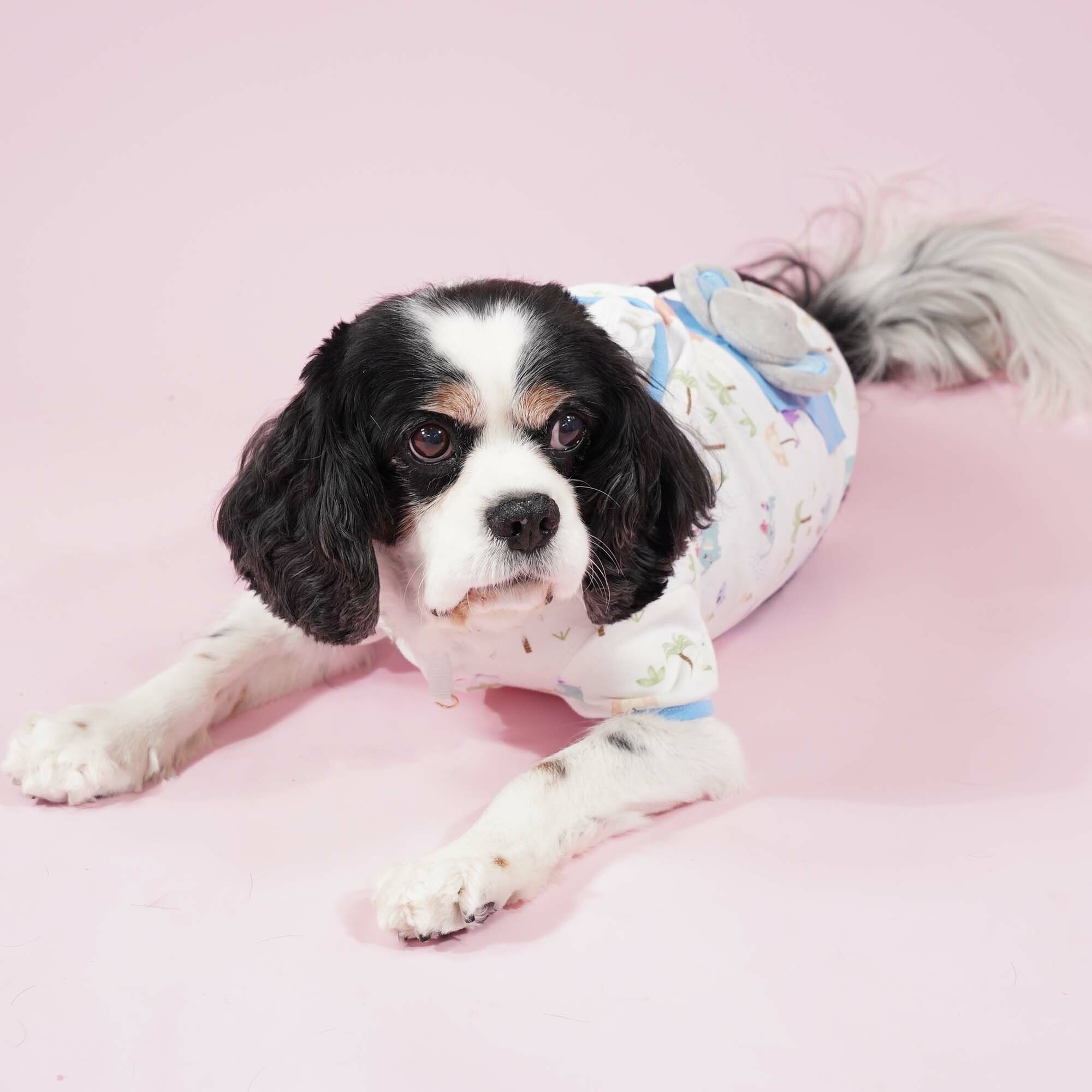 Little Elephant Hood Tee (Light Blue)