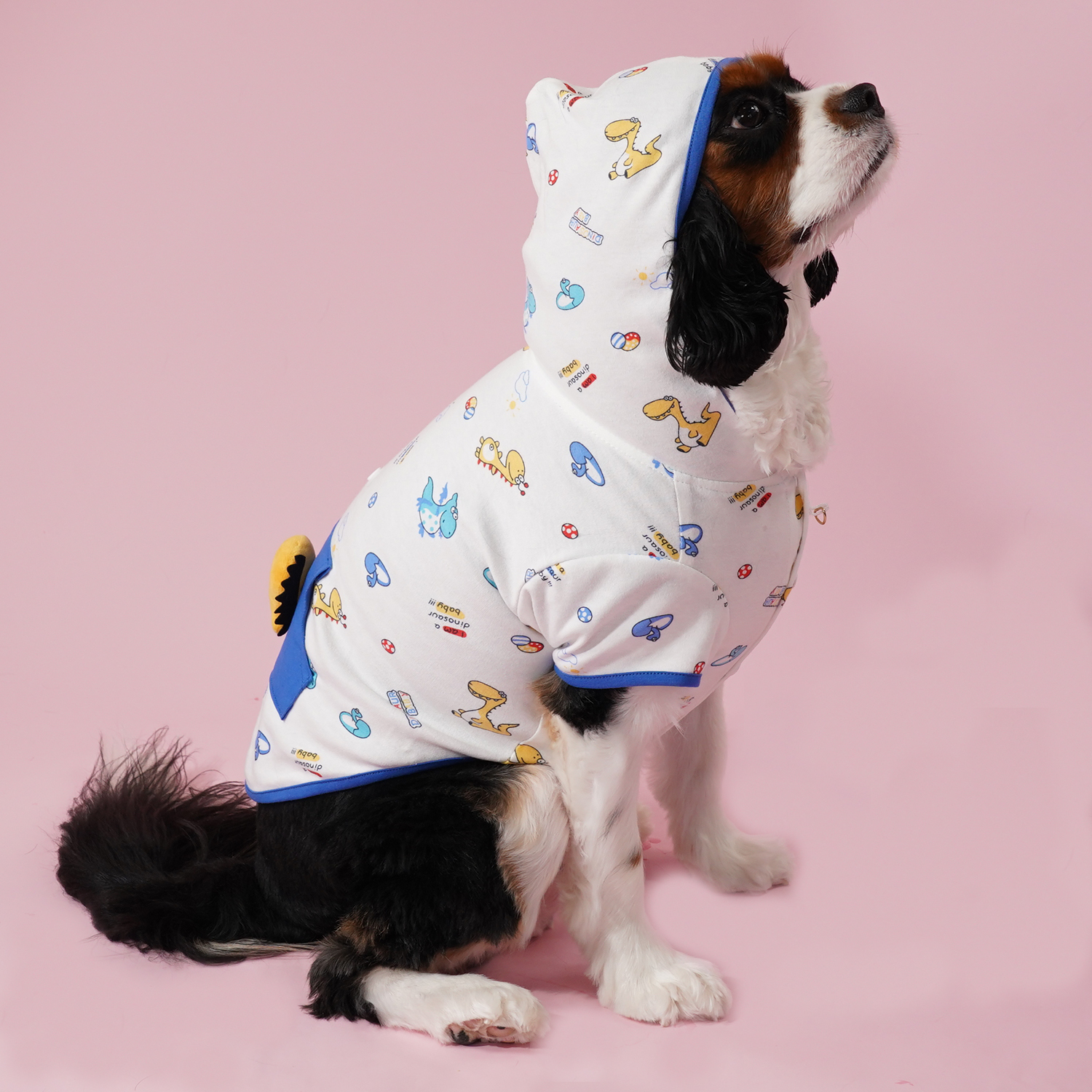 Little Dinosaur Hood Tee (Blue)