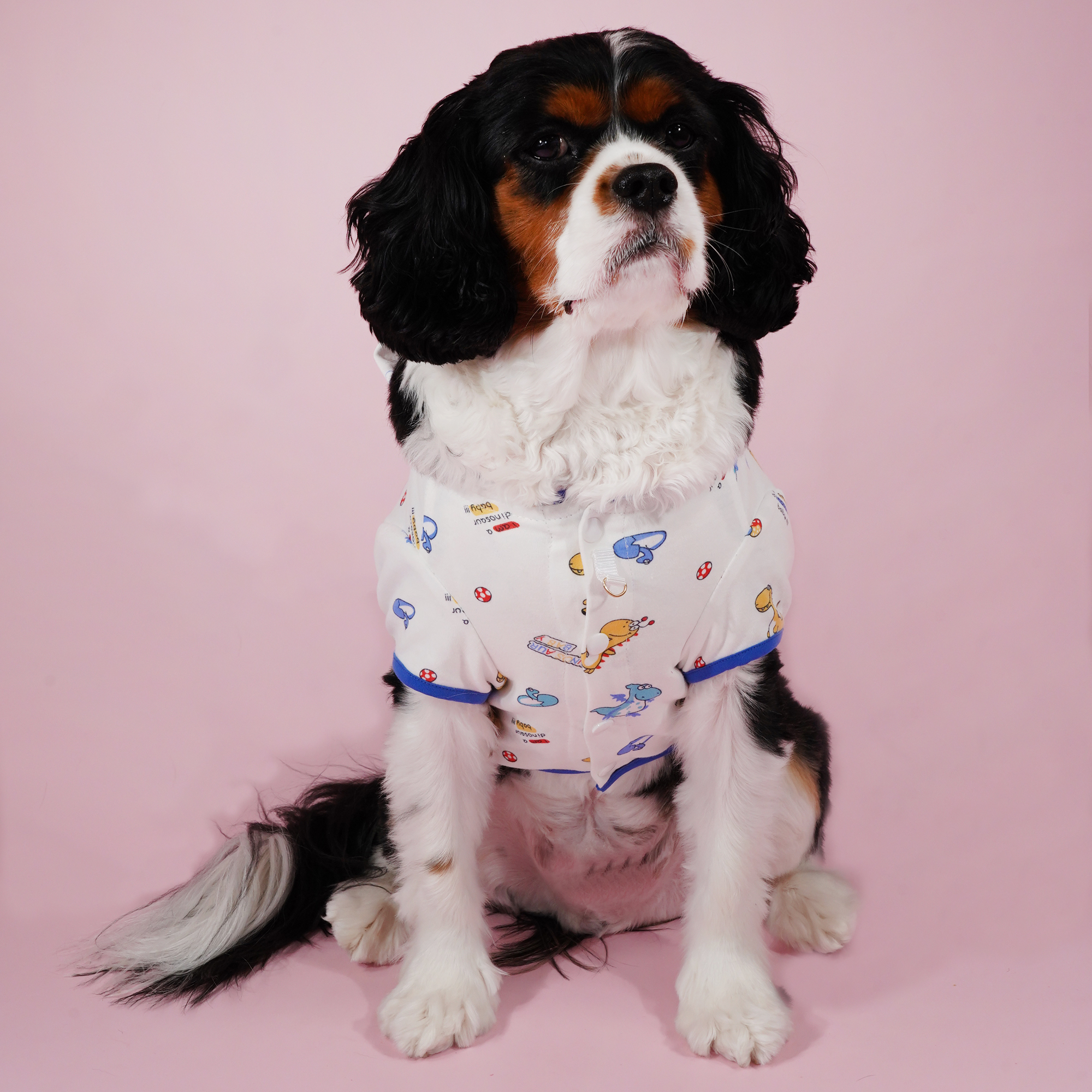 Little Dinosaur Hood Tee (Blue)