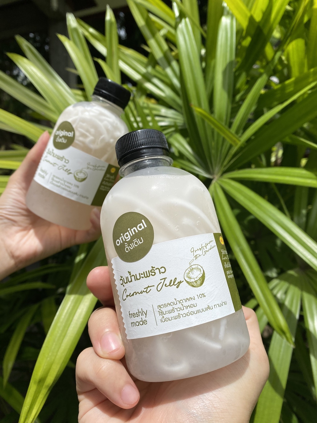 200分椰青樽裝啫喱