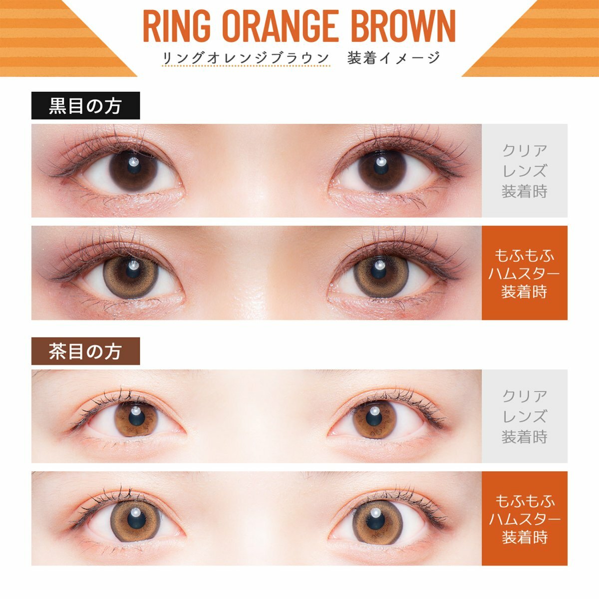 Flurry 1 Day - RING ORANGE BROWN [10片/1盒]