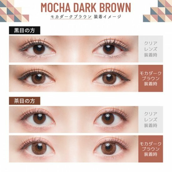 Flurry 1 Day -MOCHA DARK BROWN[10片/1盒]