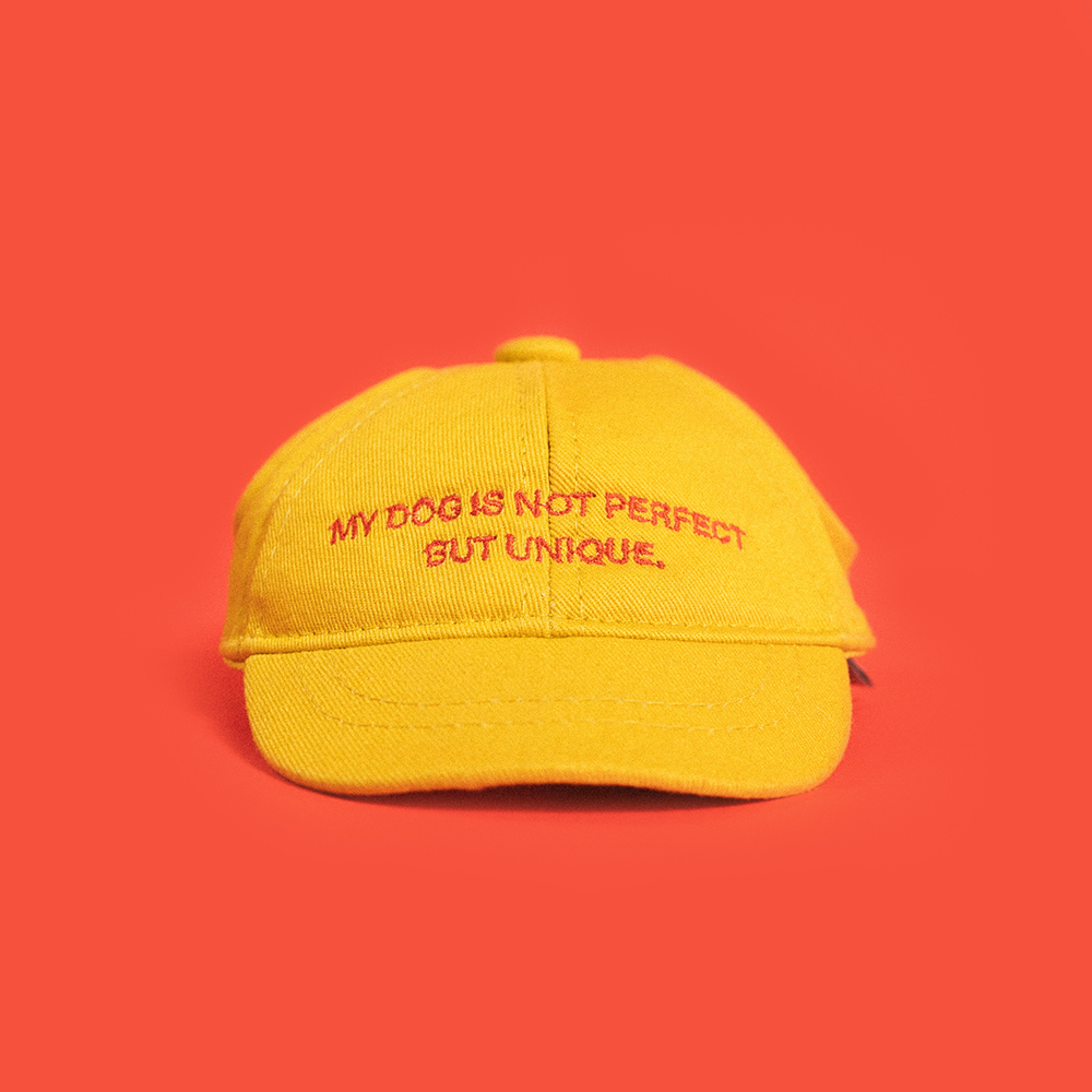 2022 Camp de Amigo 聯名︱寵物刺繡老帽