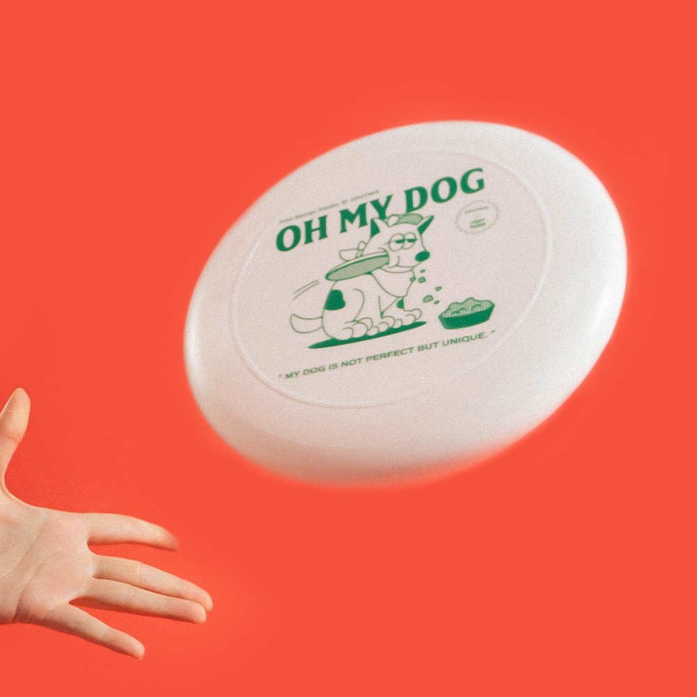 2022 Camp de Amigo 聯名︱飛盤 (兩件組)