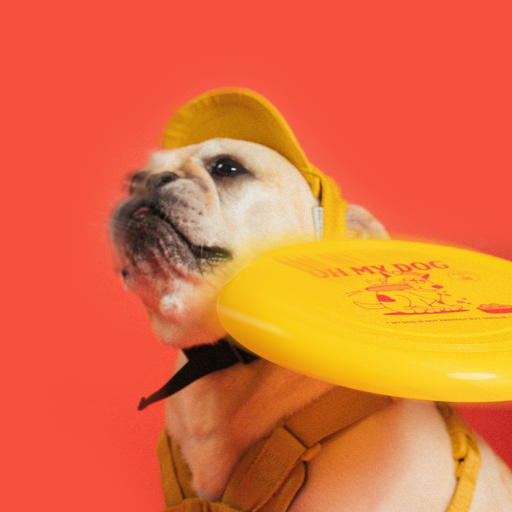 2022 Camp de Amigo 聯名︱飛盤 (兩件組)