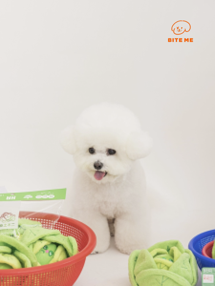【韓國 BiteMe】高麗菜造型 藏食發聲玩具