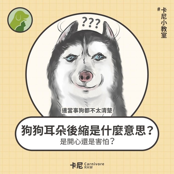 哈士奇耳朵往後