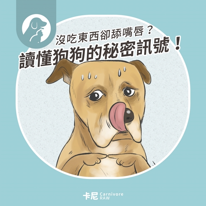 狗狗緊張的樣子