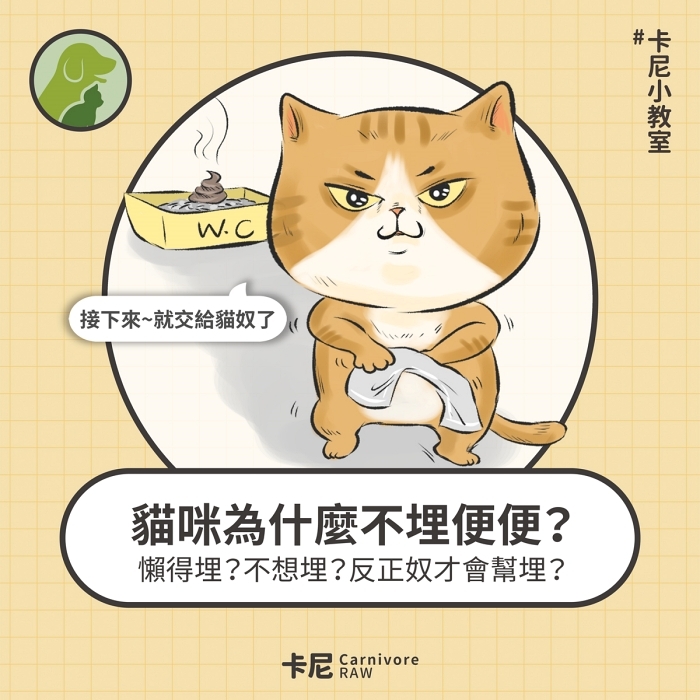 貓咪不埋便便