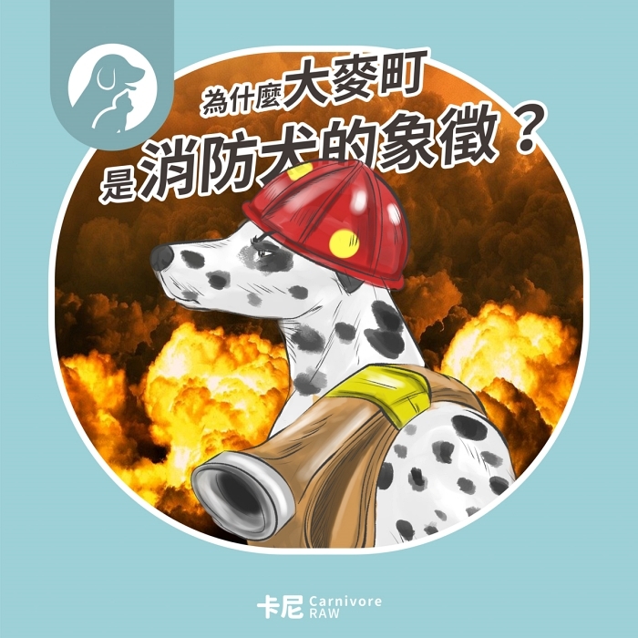 大麥町消防犬