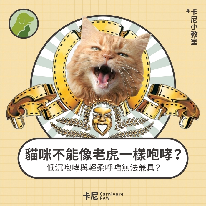 貓咪嘶吼