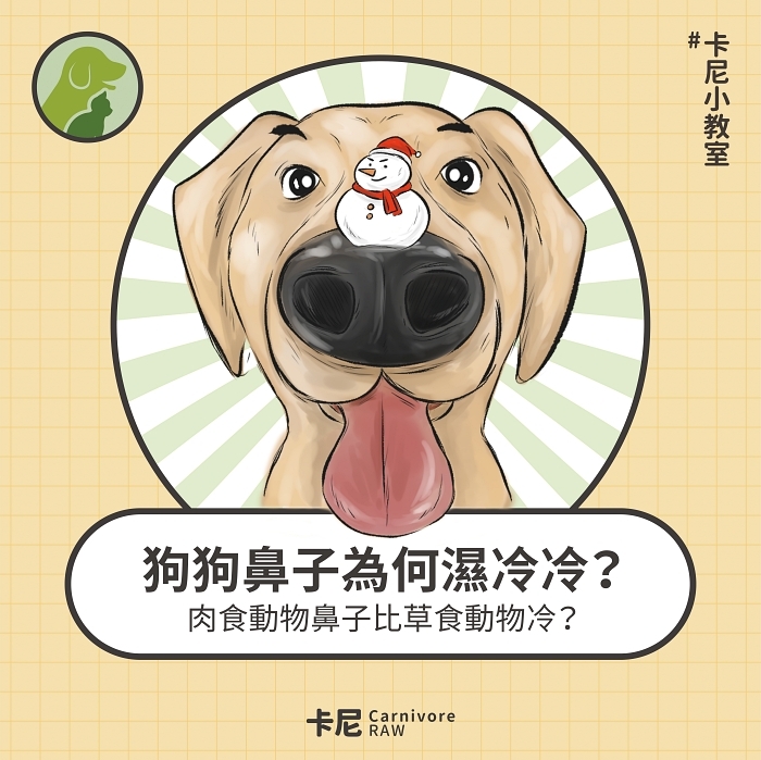 狗鼻子上的小雪人