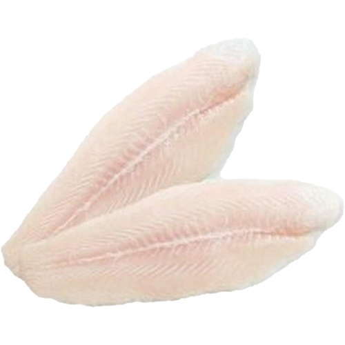 New Zealand Dory Fillet 