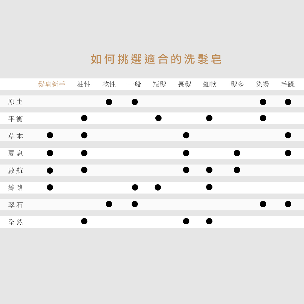【純皂生活】永續洗髮皂推薦組（多件優惠） 隨機 2入/4入 100g 洗髮皂
